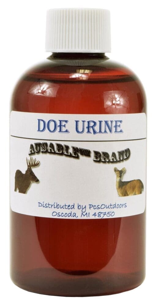 Shines White Oak Acorn Scent - Shines Acorn Scent