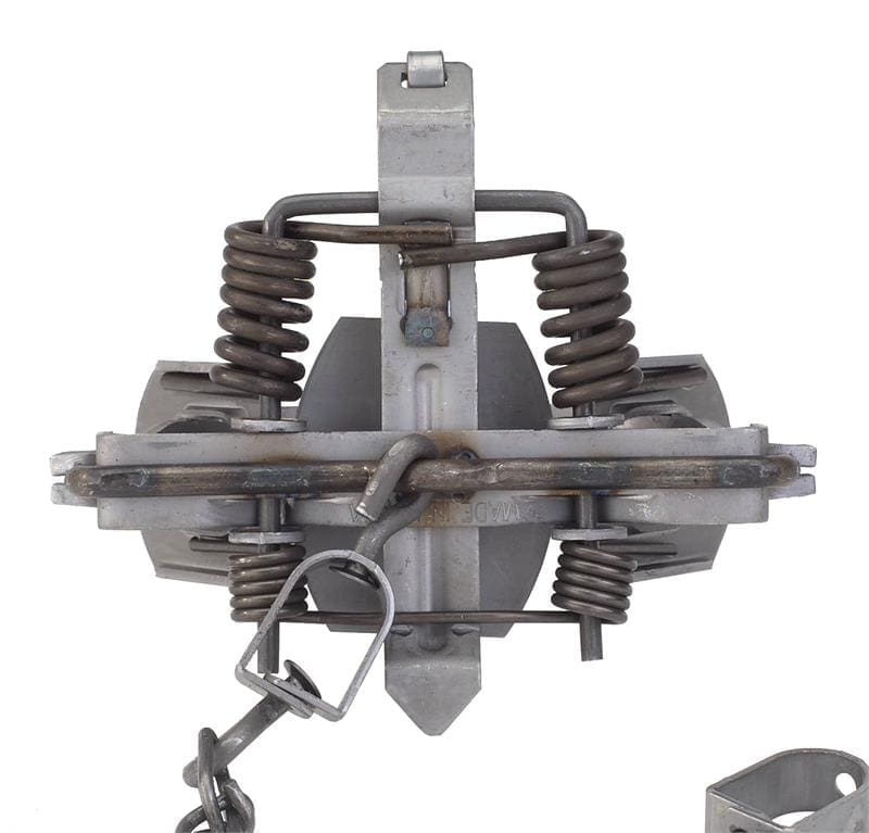 Duke #1.75 4 X 4 Coil Spring Trap 5.25