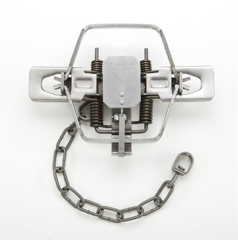 Duke #2 Square Jaw Offset 4 X 4 Coil Spring Trap 5.875
