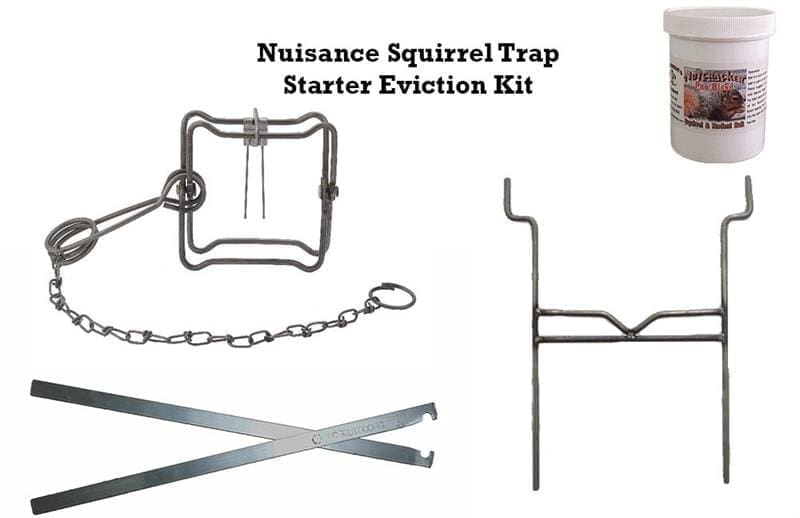 Duke Traps Starter Kit | Traps