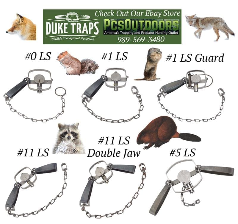 Duke #1 Coil Spring Trap 4