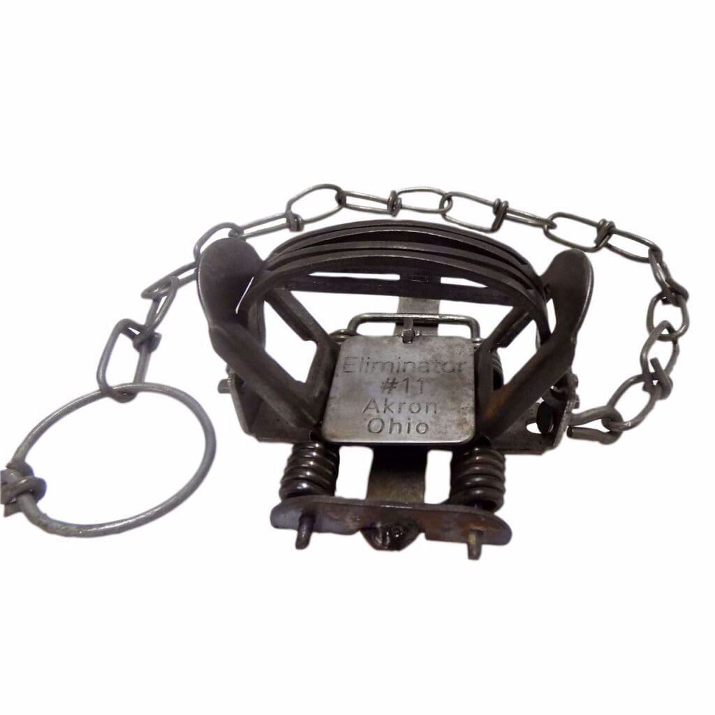 Spring Trap Line Wolf Creek Products Eliminator #1 Coil Spring Trap Great For Muskrat ...